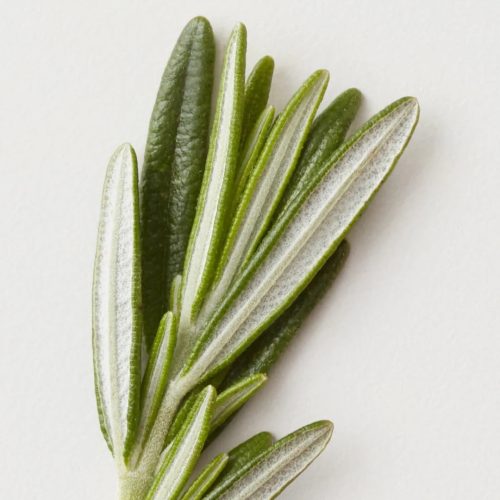 Rosemary Ingredients 1100x 9bf75ab1 196e 486d 9e45 efb7f1a0b9d7